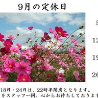 ブログ